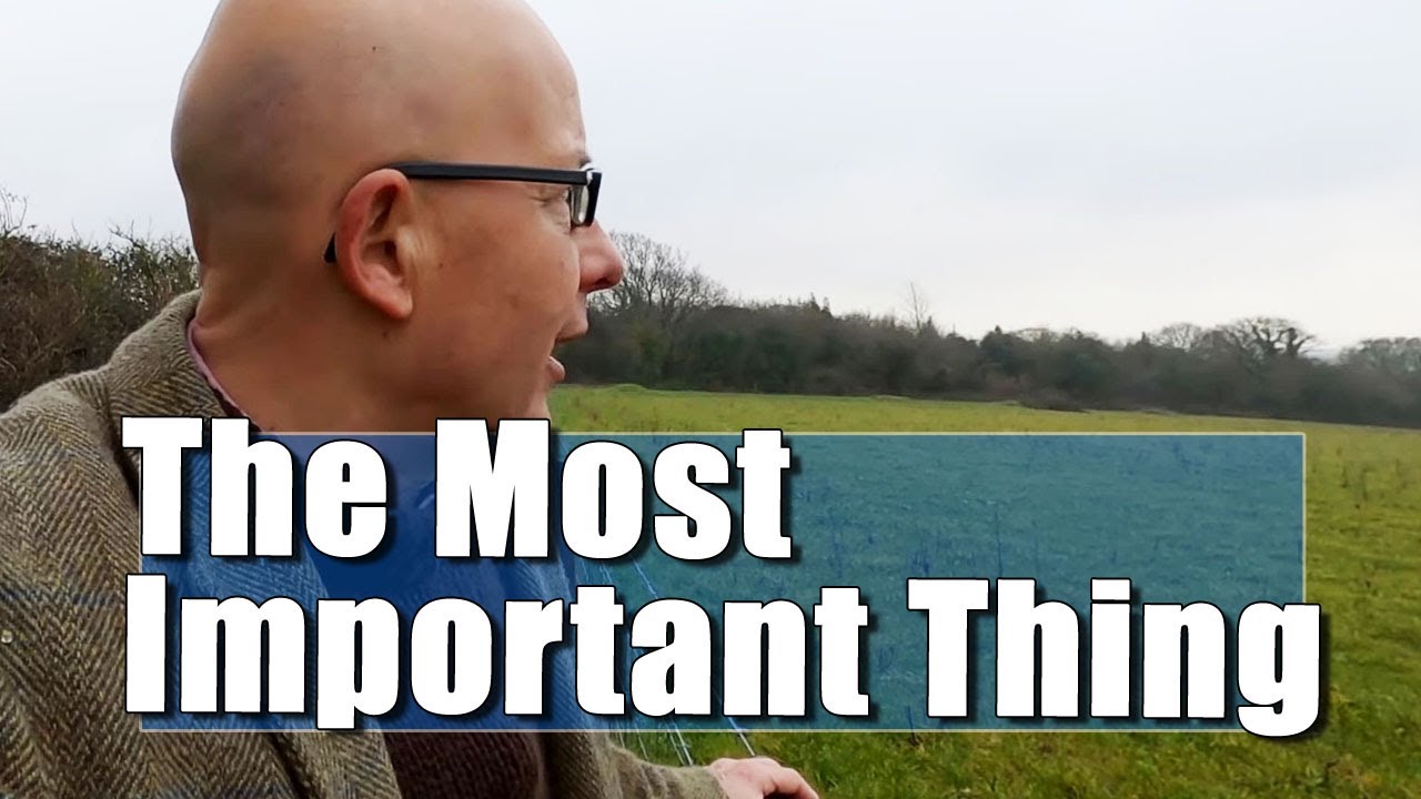 Cogitation: Should Food Be More Expensive