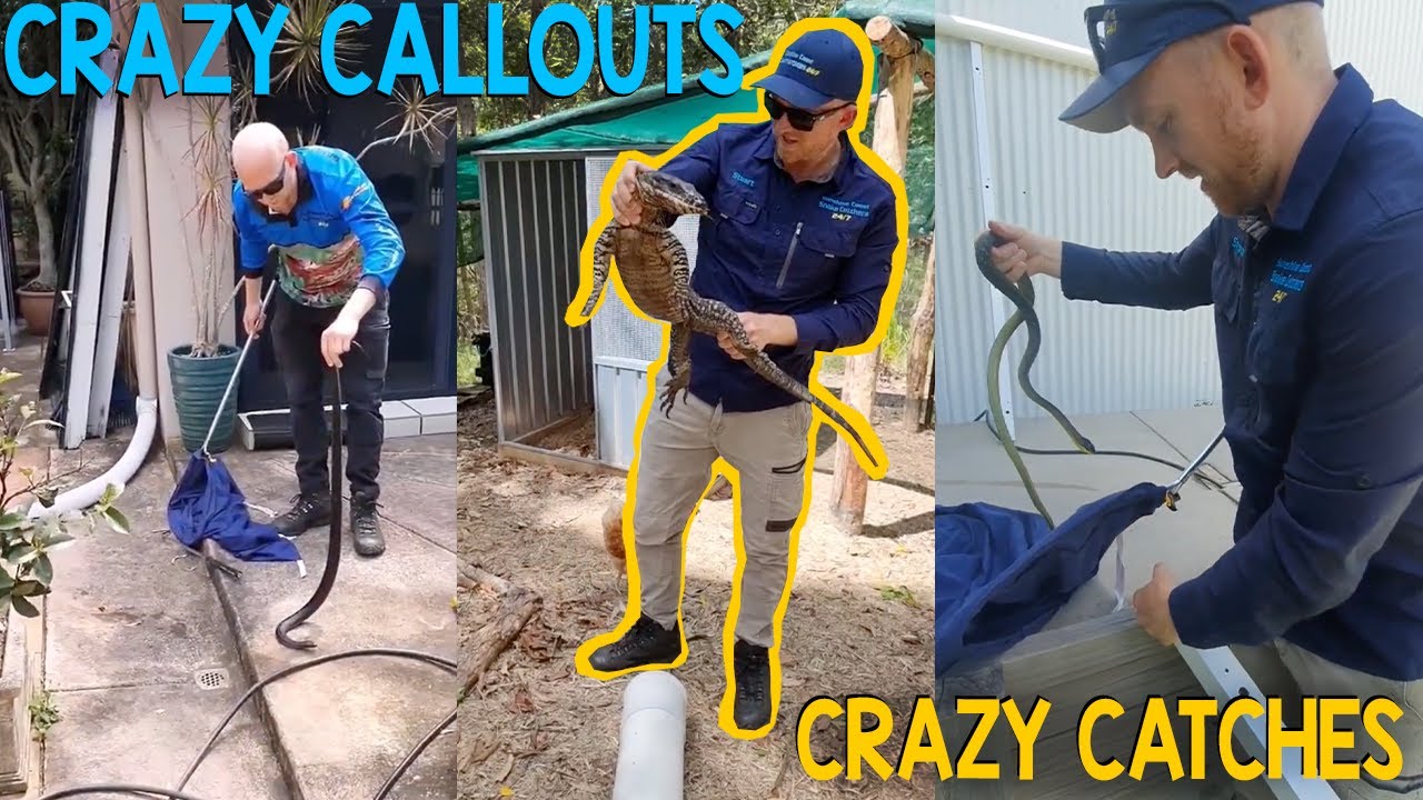 CRAZY CALLOUTS & CATCHES!