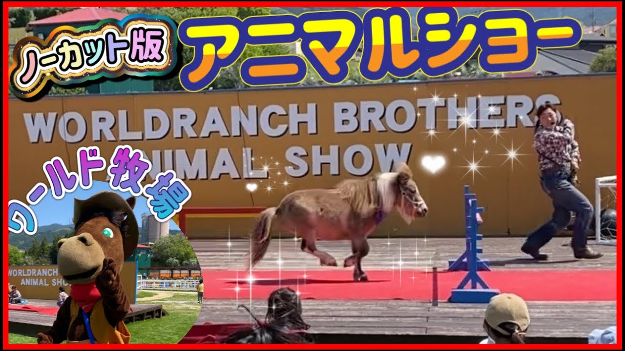 普段と違うアニマルショーをノーカット版でお届け【ワールド牧場】