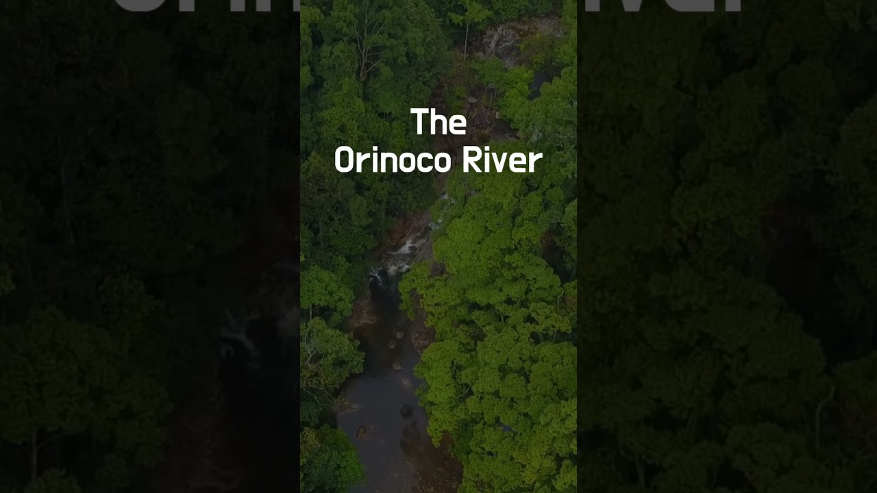 The Orinoco River! 🦦 #travelfacts #shorts #adventure #venezuela #river #naturelovers #nature