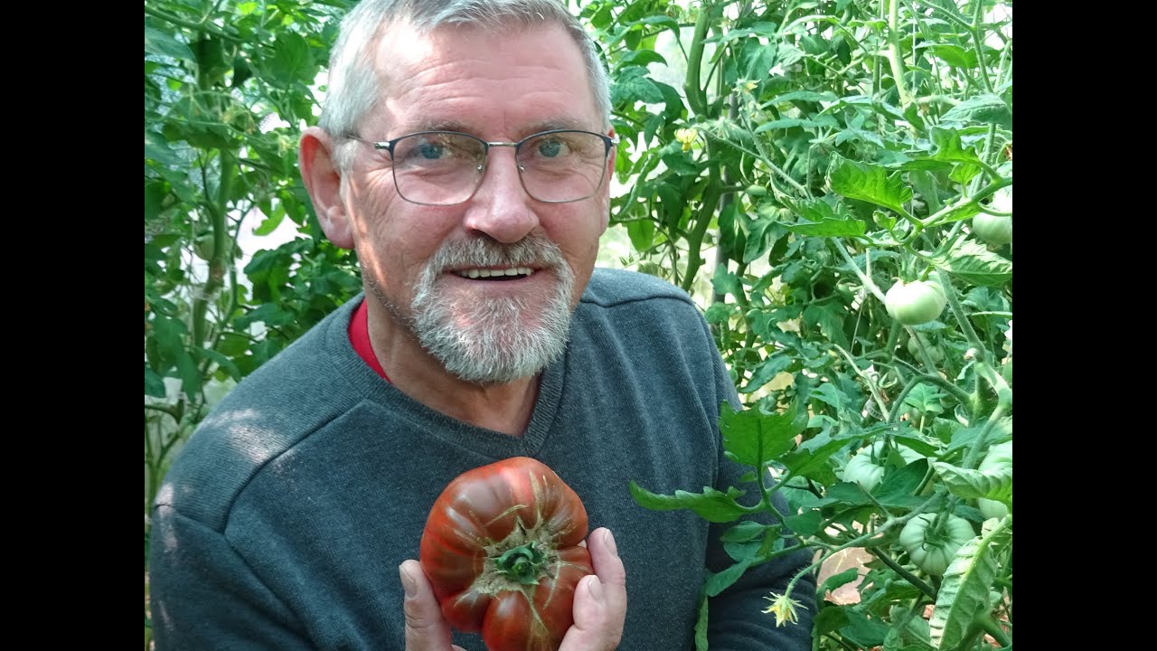 le 27/06/2023 : les rotations au potager et semis