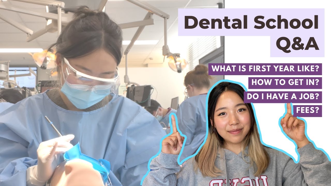Sydney Dental School Q&A || first year grind | is dental school difficult? | how much does it cost?