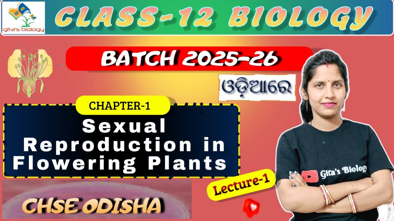 Sexual reproduction in flowering plants ll Lecture-1 ||Ch-1|| Class 12 || CHSE ODISHA 