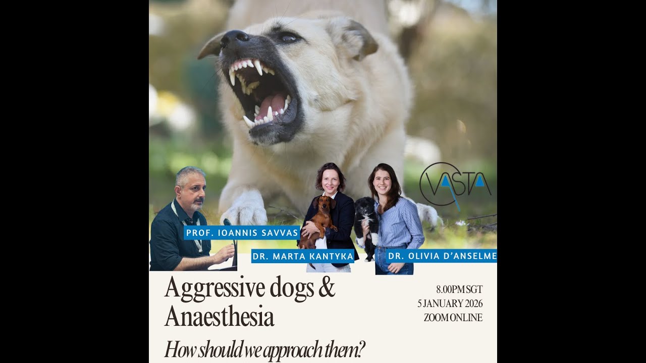 Aggressive & Hard-to-Handle Dogs — Safe Anaesthetic Approaches in Real Life | VASTA Hot Topics