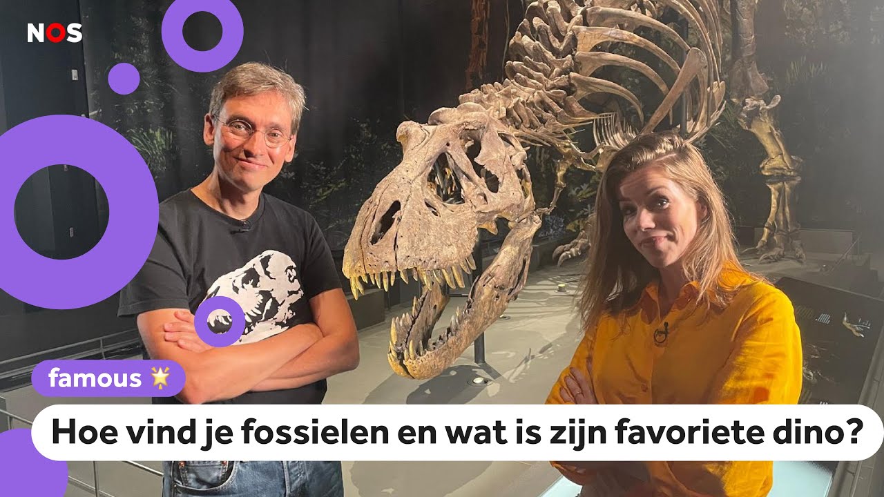 Dinokenner Anne Schulp vertelt alles over... ja dino's natuurlijk!