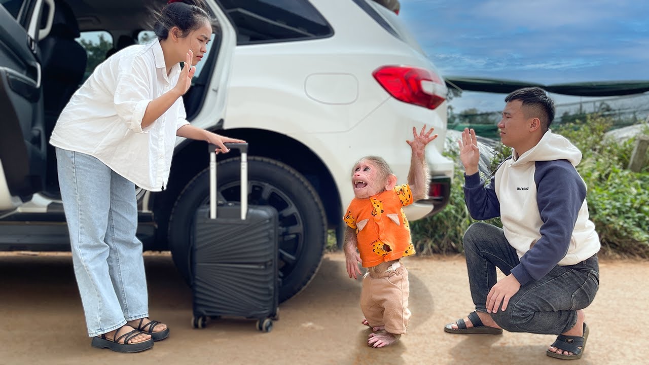 Cubis Monkey Sad, Reluctant Says Goodbye Auntie at Airport!