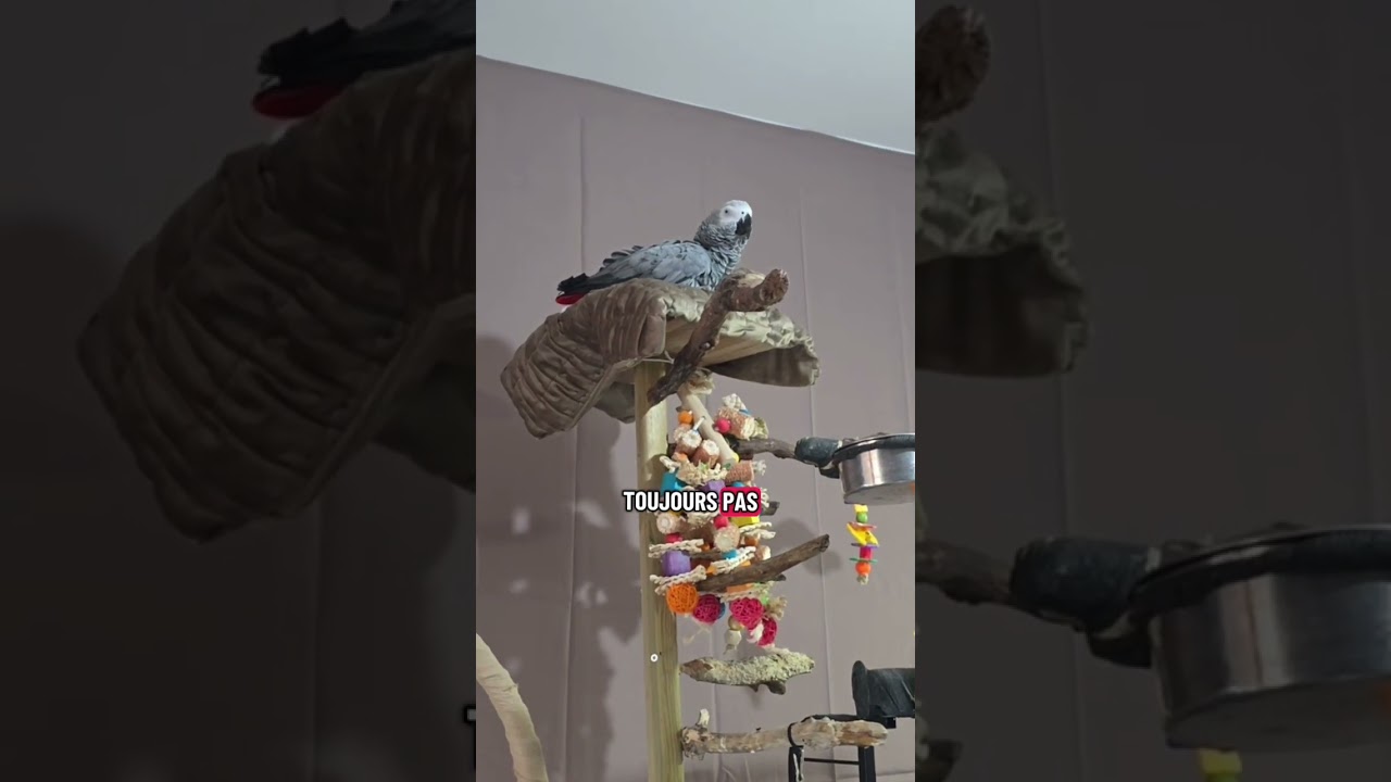Le Dr. Lili est &agrave; votre service.🤣❤️
