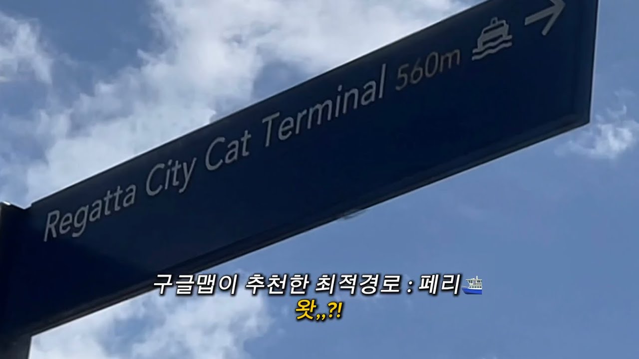 호주 워홀 Day 12 | 놀기만하는 워홀도 괜찮은건가요?