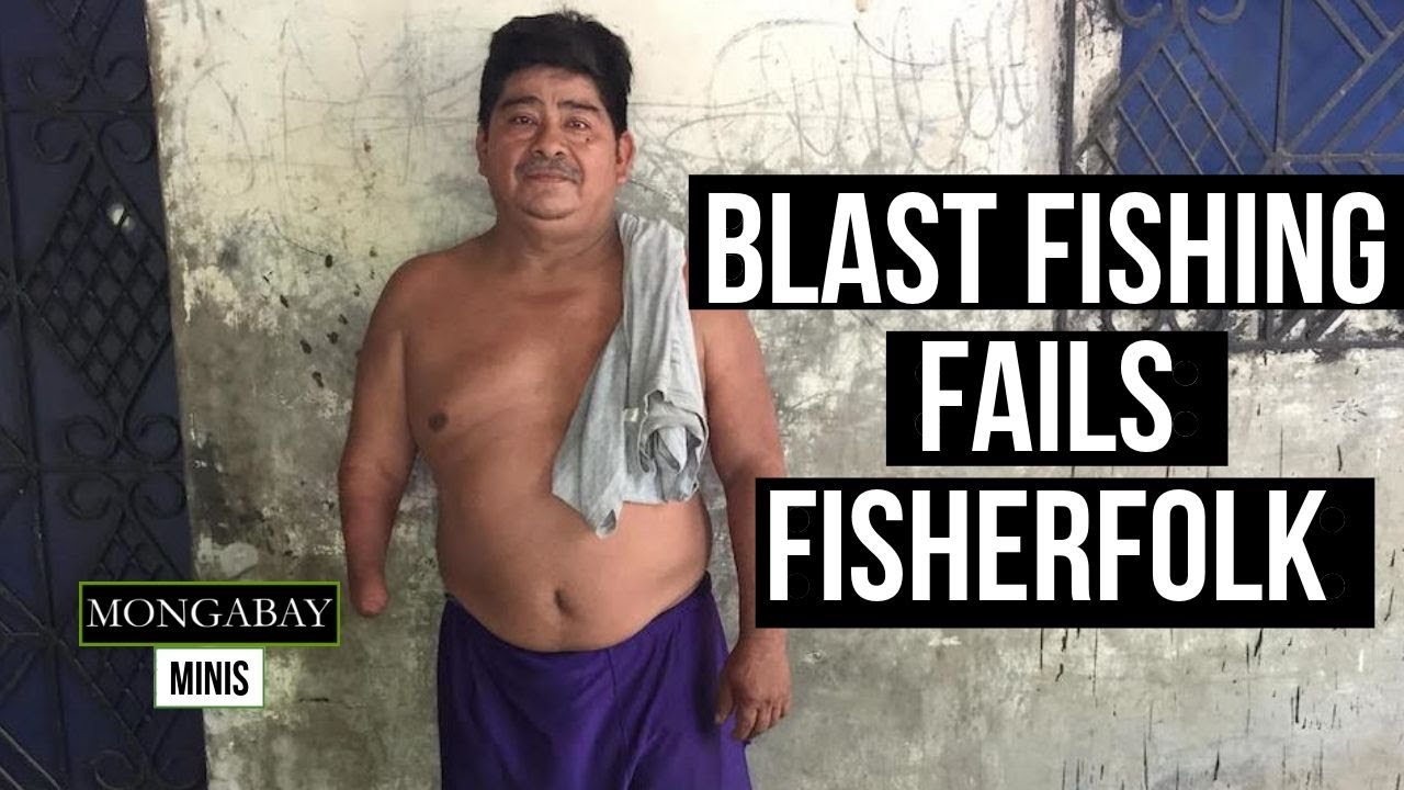 Artificial Reefs Relieve El Salvador's Fisher Folk | Blast Fishing With Dynamite Ends