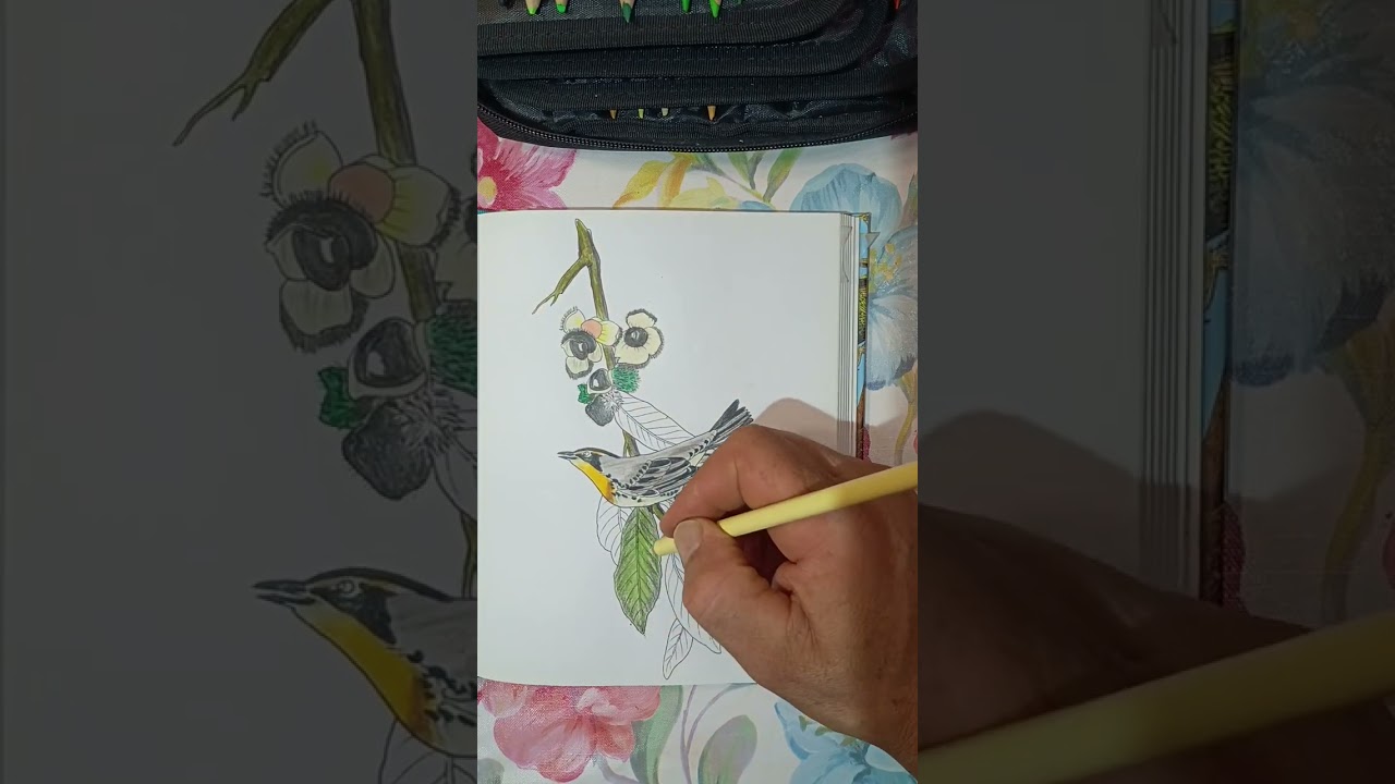 🌳Yellow -throated Warbler 🌿#natureinspired#coloring#art#birds#natura#nature#naturkunst#malen#pajaros
