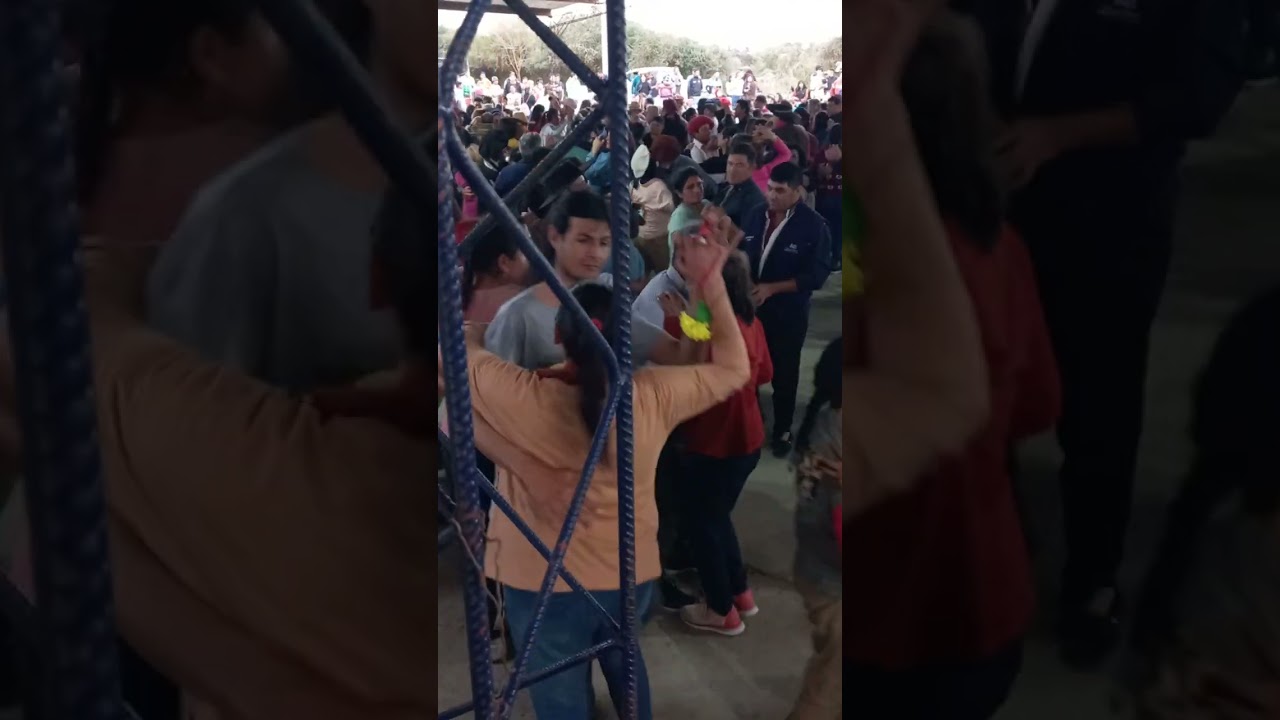 LOS CRIOLLOS DE FELICIANO