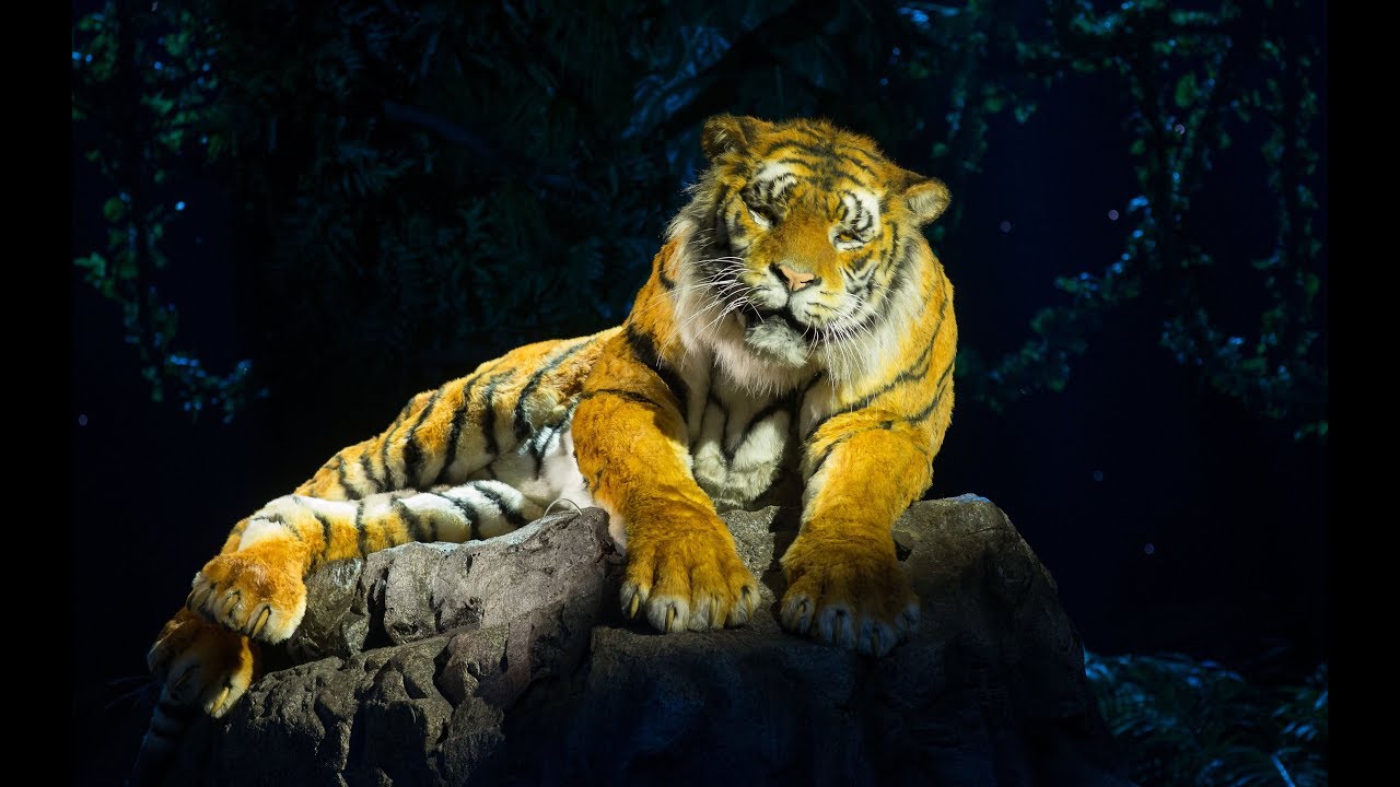 2016 WOW Awards Show: Behind the Scenes - Making of the Tiger