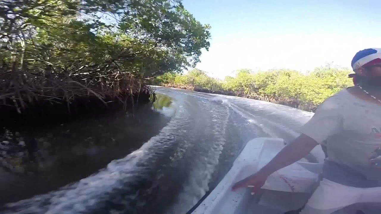 Cayo arena y Manglares DR.