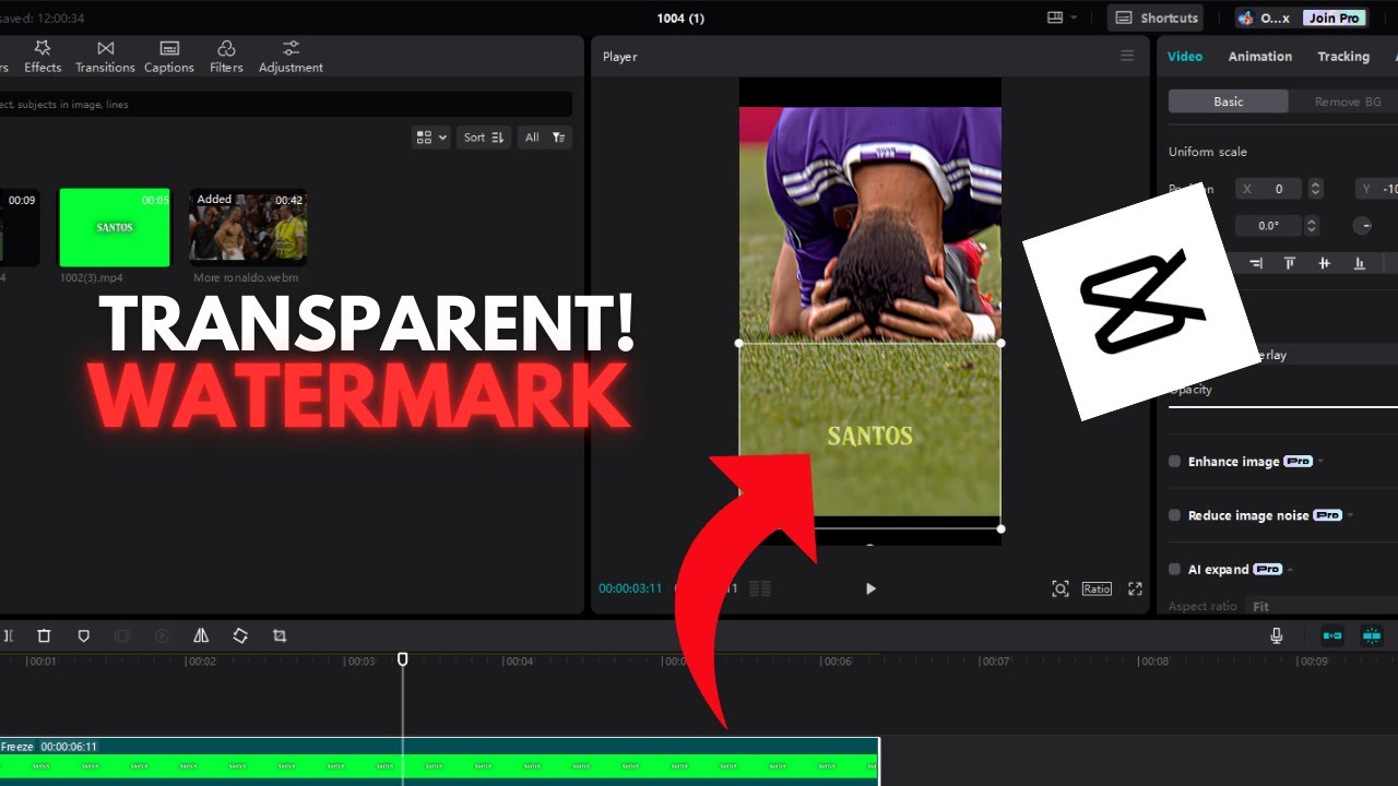 Transparent Watermark CAPCUT Tutorial ☠️🔥
