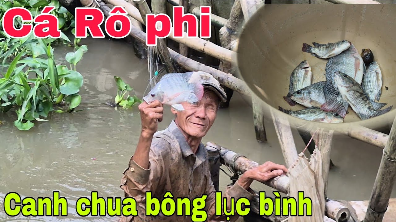 Cá Rô Phi nấu canh chua bông lục bình món ăn dân dã Miền Tây. | Cơm Quê 
