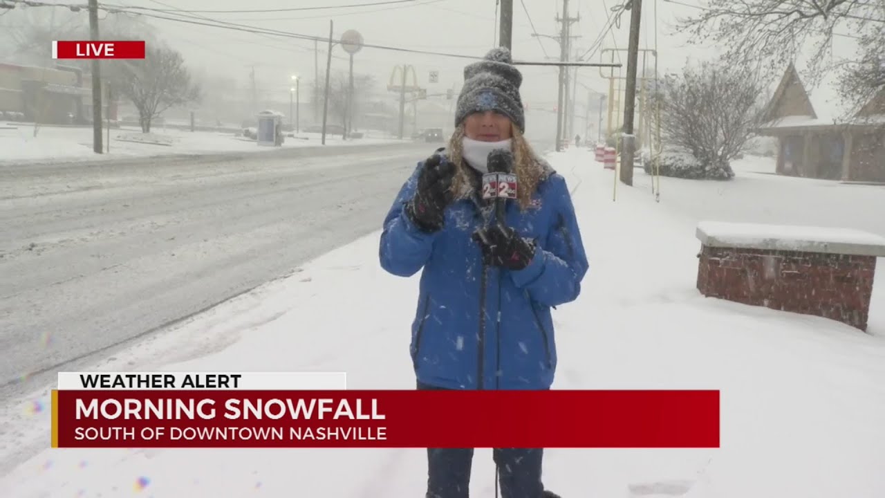 Morning snowfall in South Nashville