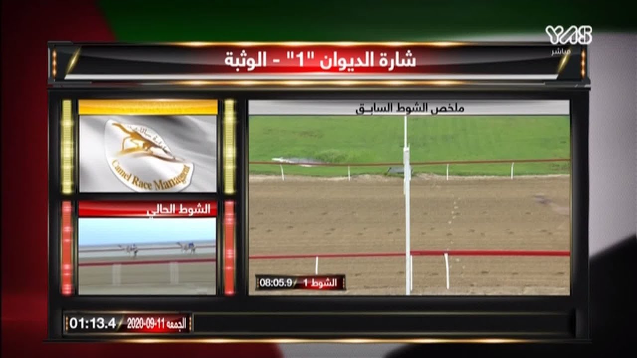 الشوط 2 - بويضا - ثنايا بكار مهجنات
