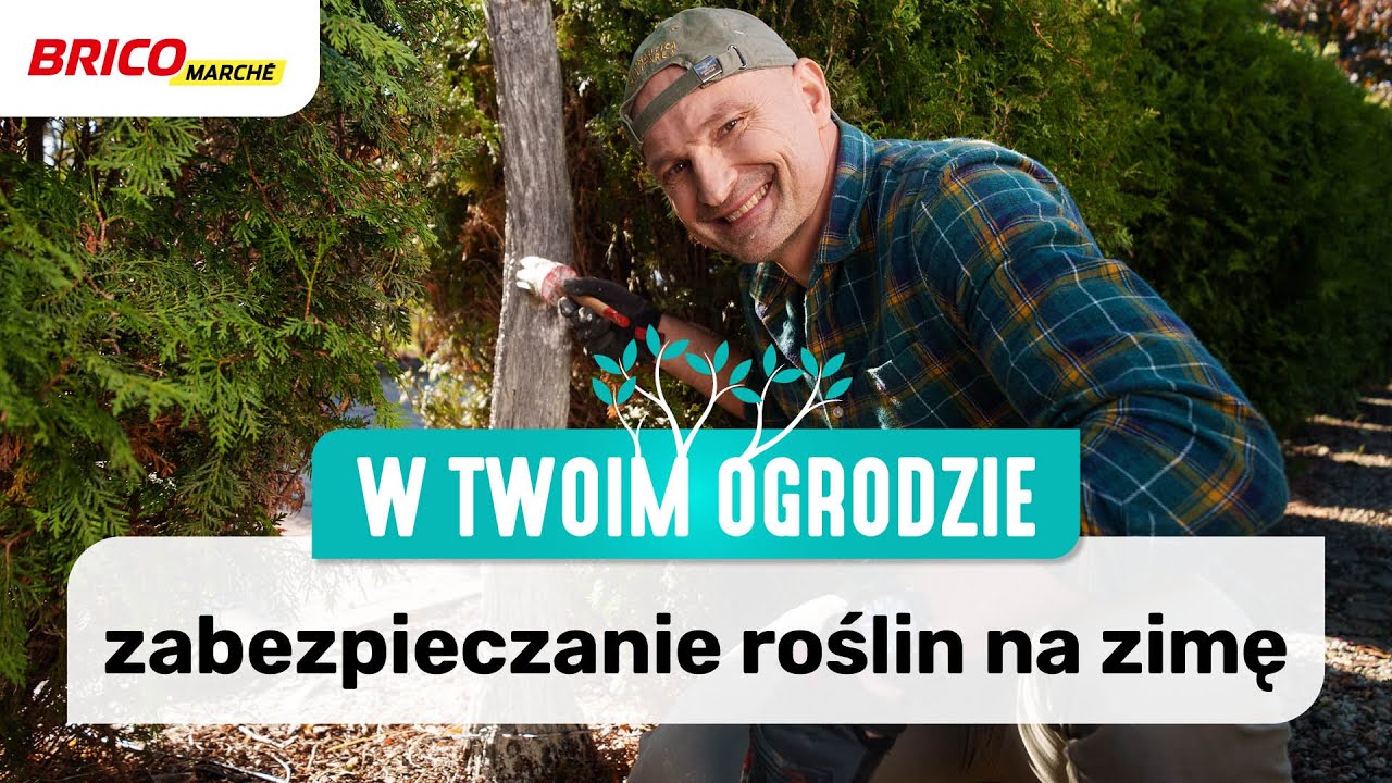 Jak zabezpieczyć rośliny przed zimą [W Twoim Ogrodzie]