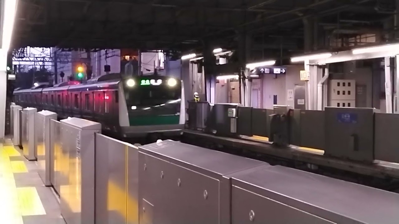 埼京線E233系7000番台ハエ108編成特急新宿行　鶴ヶ峰駅