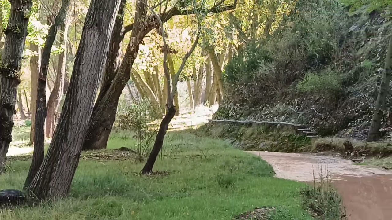 14   10   2025 Galve i circular Aliaga