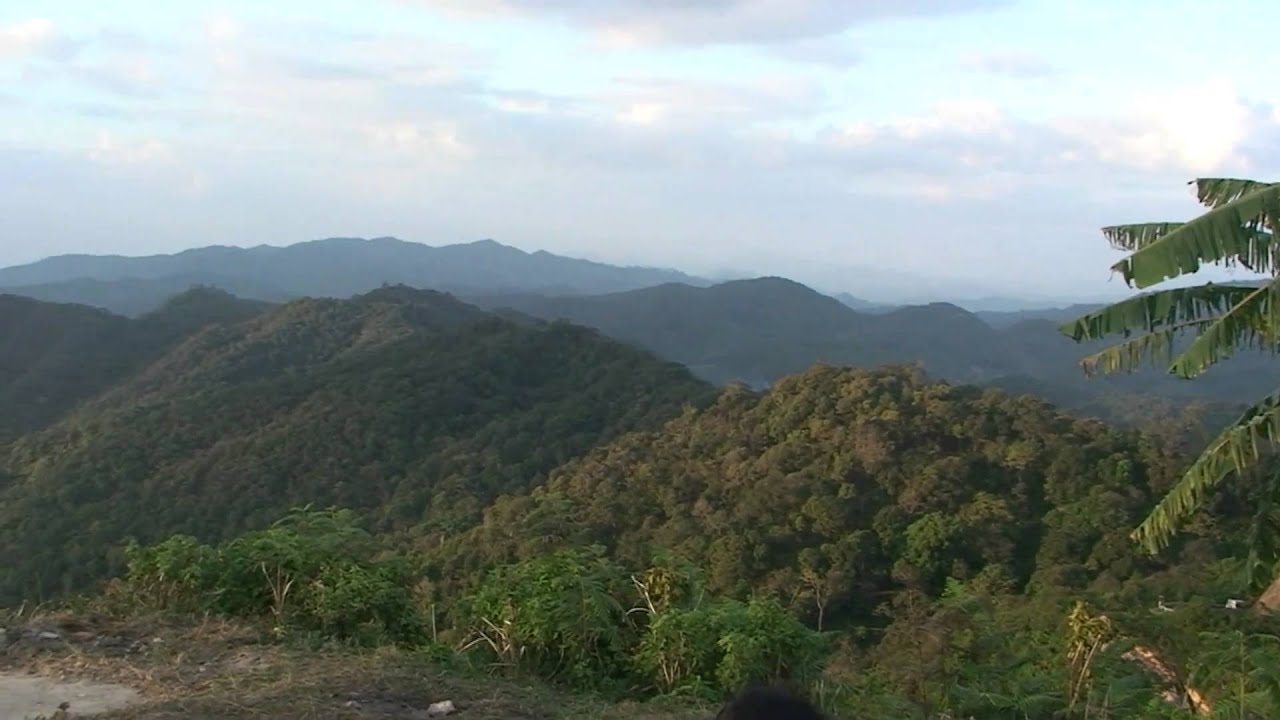 ブアトーン、メーホンソン、　Bua tong, Mae Hong Son