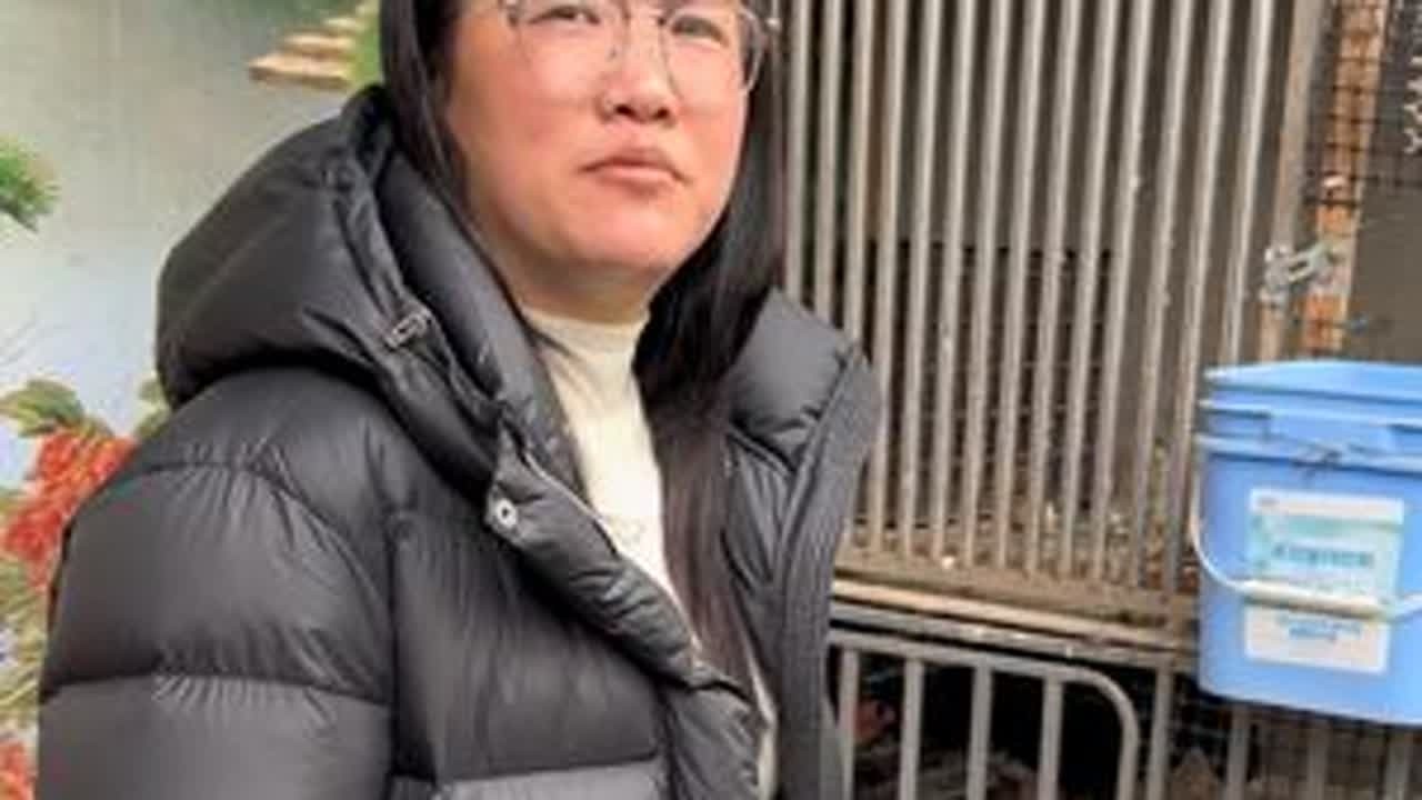 还有10天就过年了，今天过来给俺爸剪剪头染染瞬间显精神了，快递再有几天就停了，想给父母和咱们自己的染头的姐妹赶紧去拍了，过年了咱家染发膏一定要染起来，植物健康染，操作简单，上色均匀，不辣眼睛不刺...