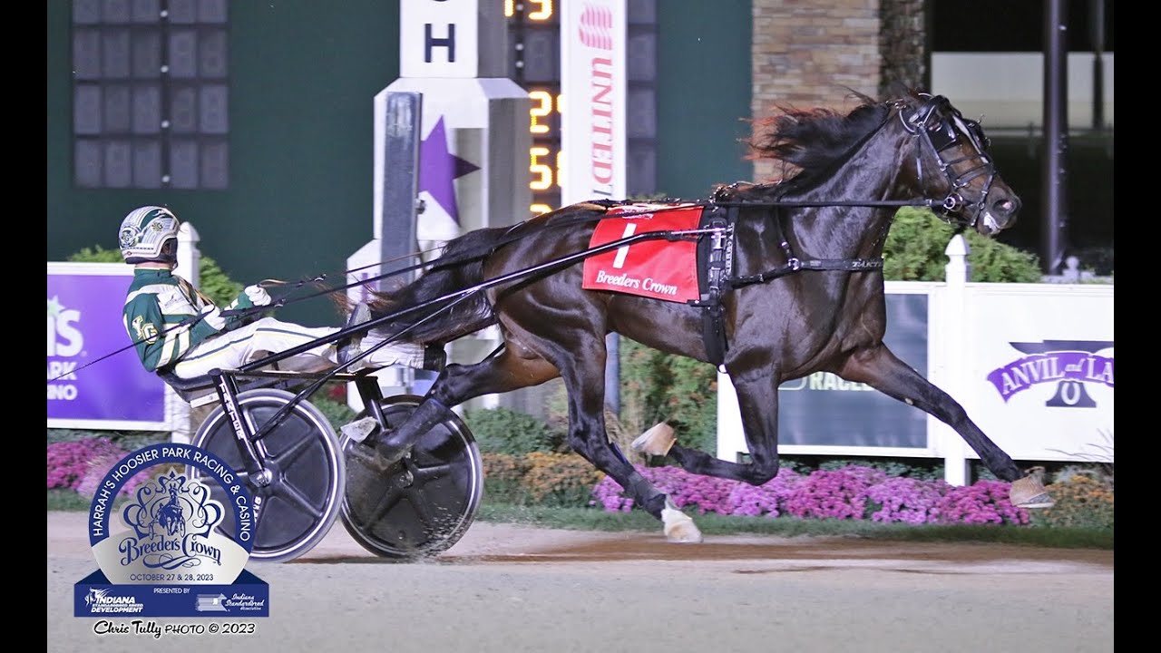 Karl & Yannick Gingras wins Breeders Crown 2 YO C&G ($700,000) in 1.51,4 (1.09,5) at Hoosier Park.