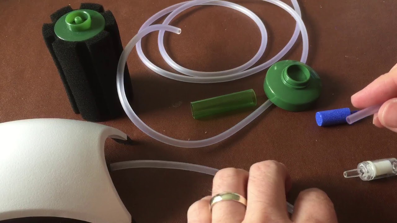 How to set up an air pump, air stone and sponge filter in your fish tank or aquarium