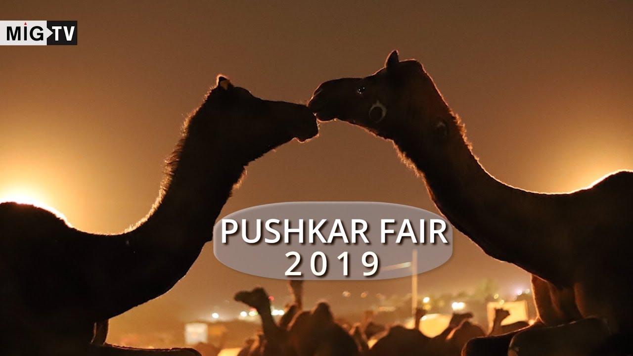 Pushkar Fair 2019 | Pushkar Mela