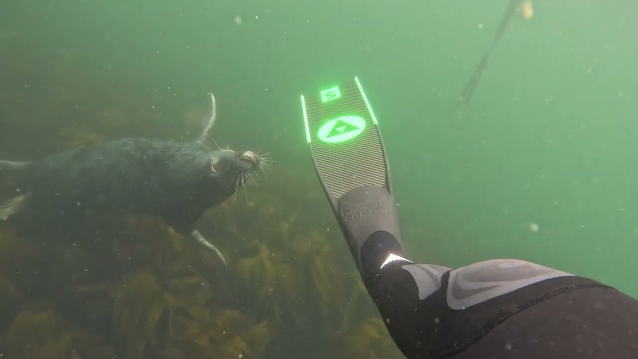 My Shetland showreel - some captures from adventures out there.