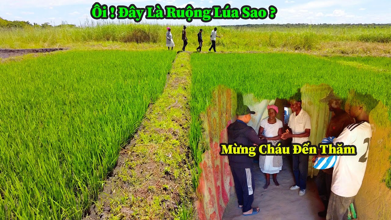 Công Đồng II Lí Do Bác Chủ Đất Vắng Mặt Trong Thời Gian Qua ? Có Chuyện Gì Với Bác Vậy ?