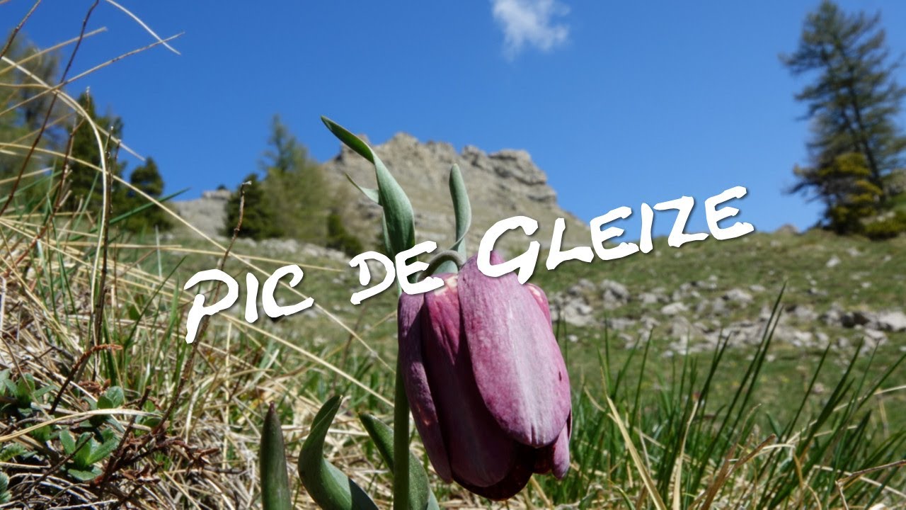 Pic de Gleize - Dévoluy - Hautes-Alpes
