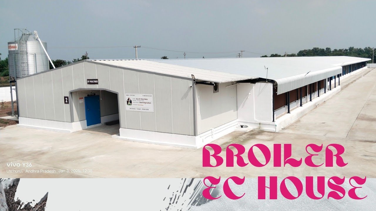 Ec poultry :  Fully controlled system 