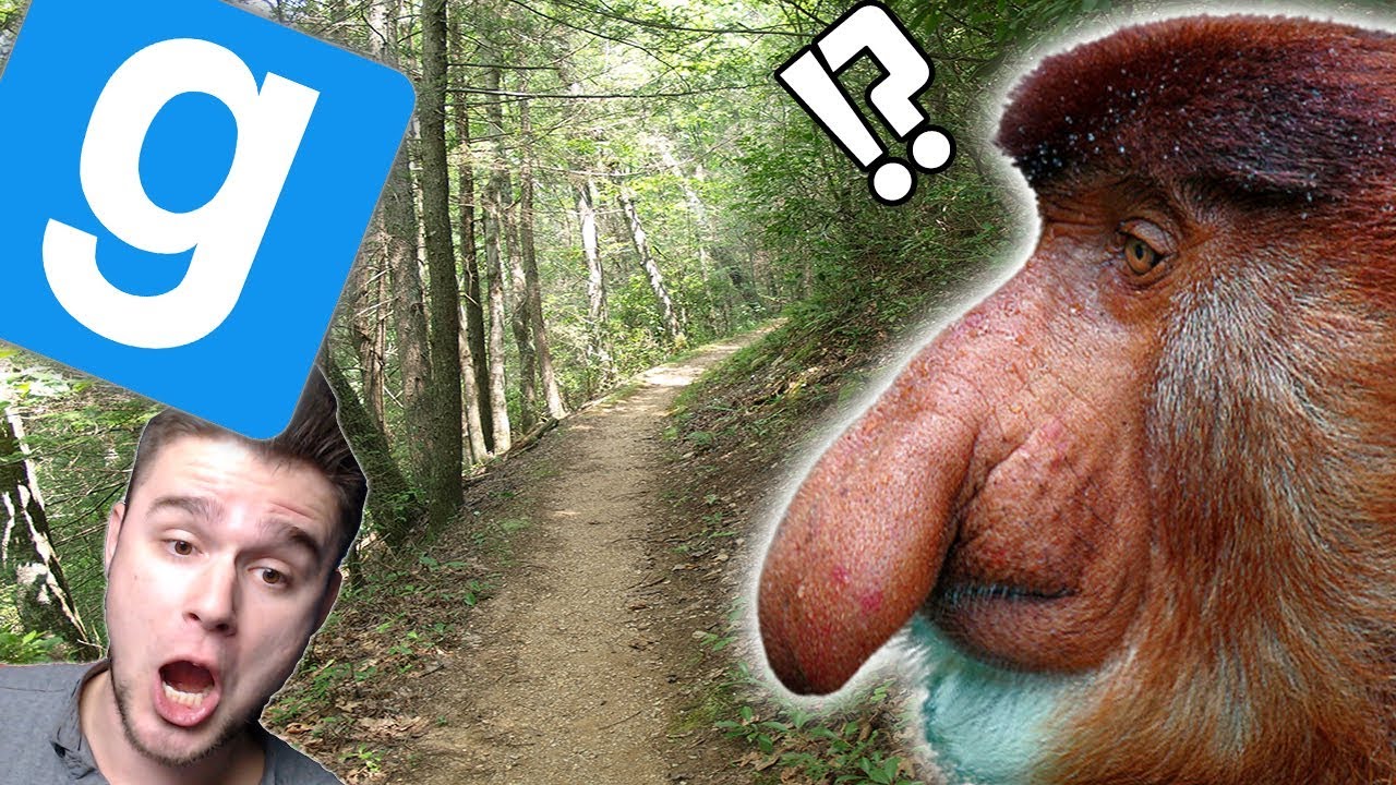 CZY NOSACZ POKONA GÓRSKI SZLAK!? || GARRY'S MOD  (z: Mandzio, Alien, Bladii, Diabeuu)
