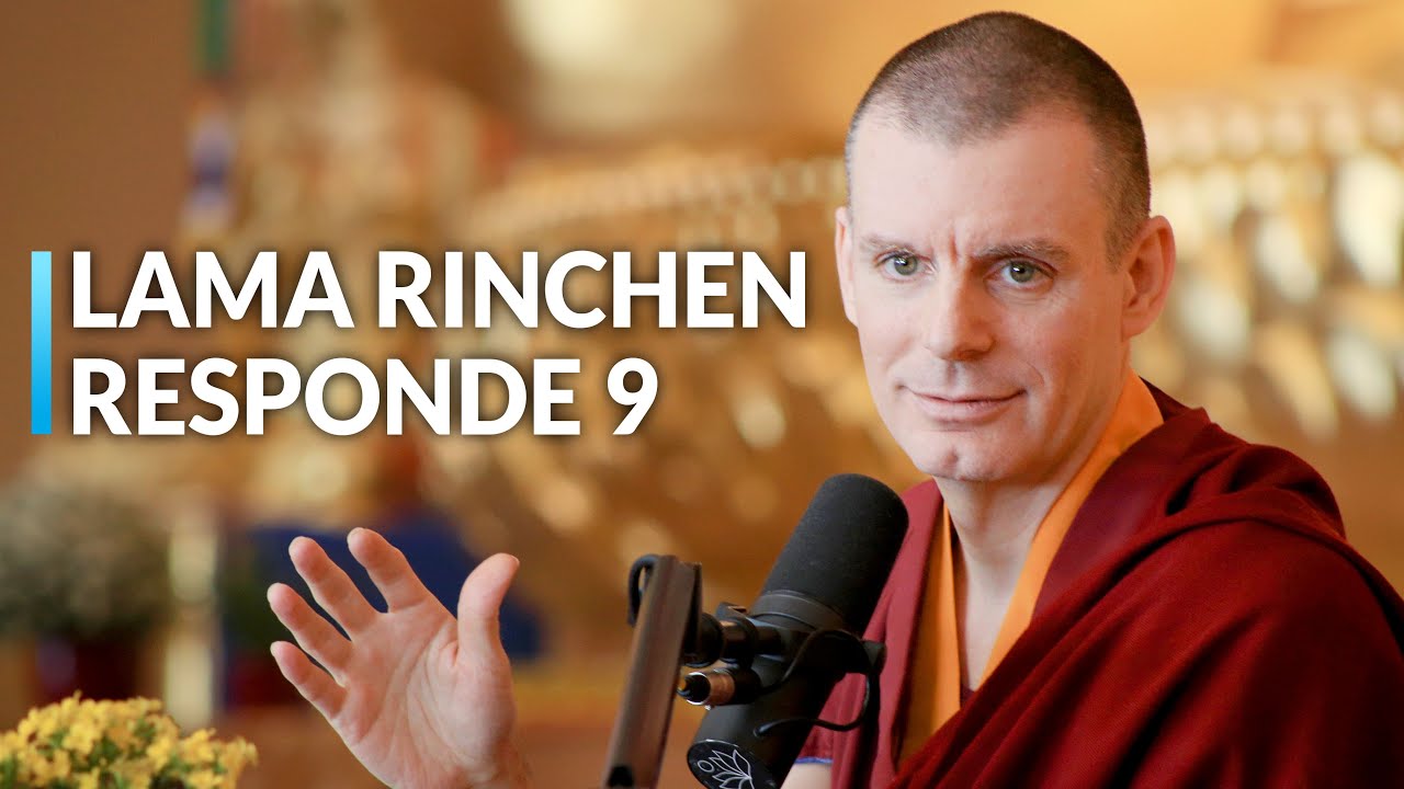 El Nido del Meditador | Sesión de Preguntas y Respuestas (9)