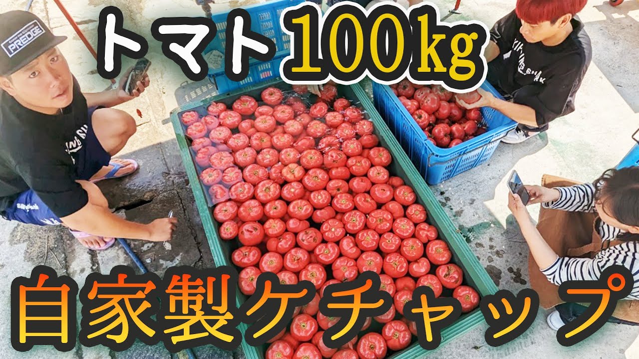 農家で廃棄になりそうな100㎏トマトでケチャップ作り【SDGｓ】