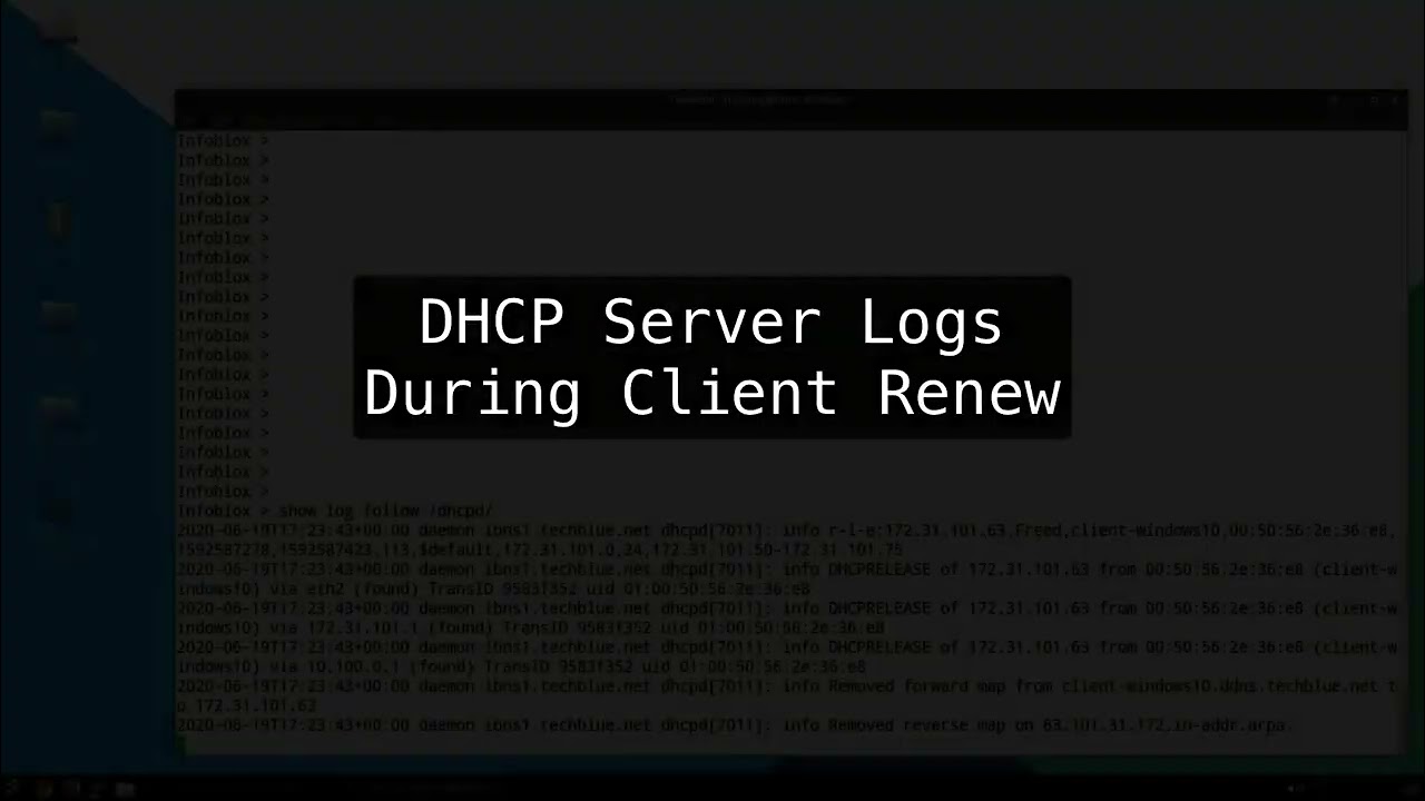 LAN - DHCP client IP release and renew