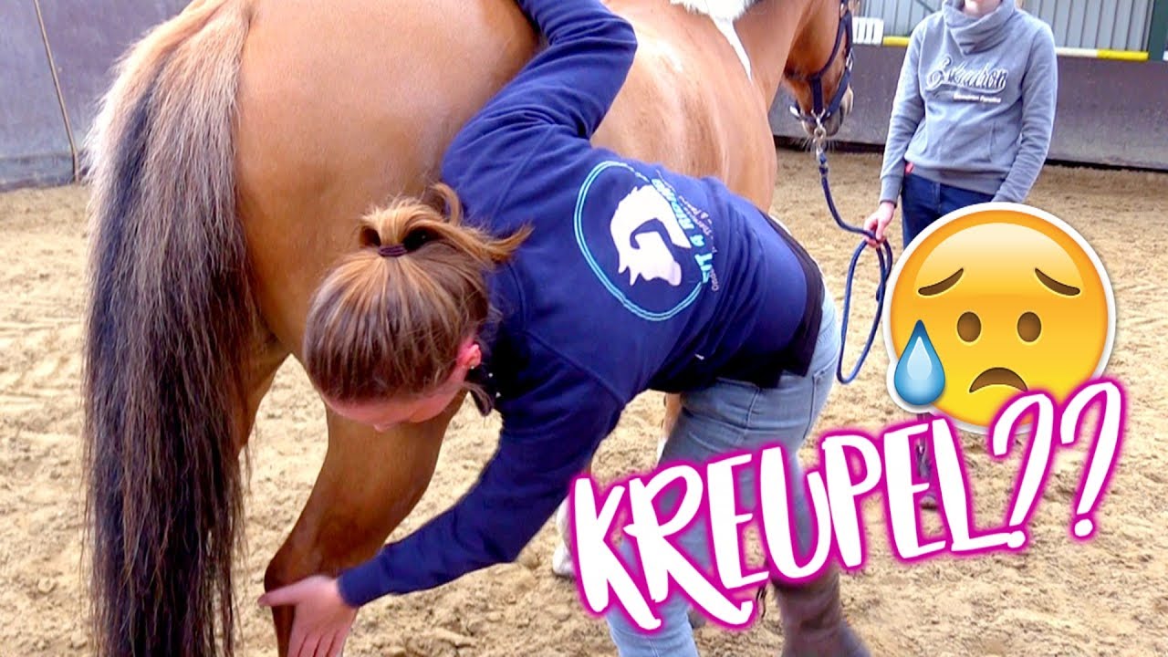 Fit4Riding #1 Marley bij de dierfysio, loopt hij kreupel? | felinehoi