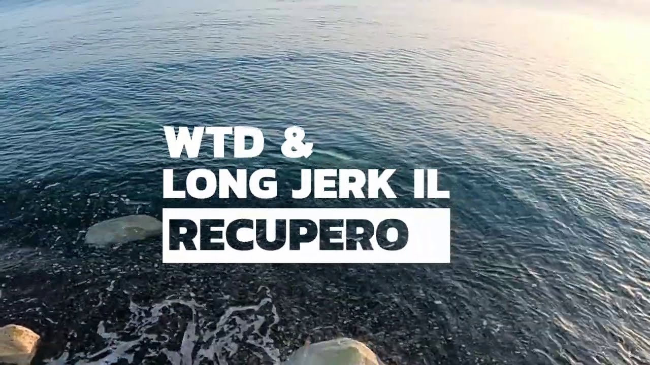 SPINNING STARTUP 6° - Come recuperare WTD E LONG JERK - tutorial animazione artificiali spinning