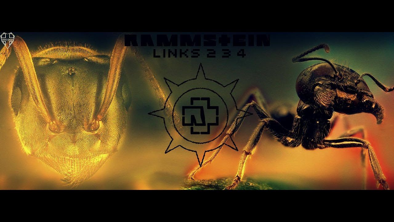 Rammstein - Links 234 (Guitar cover WITH EXTENDED GUITAR SOLO)