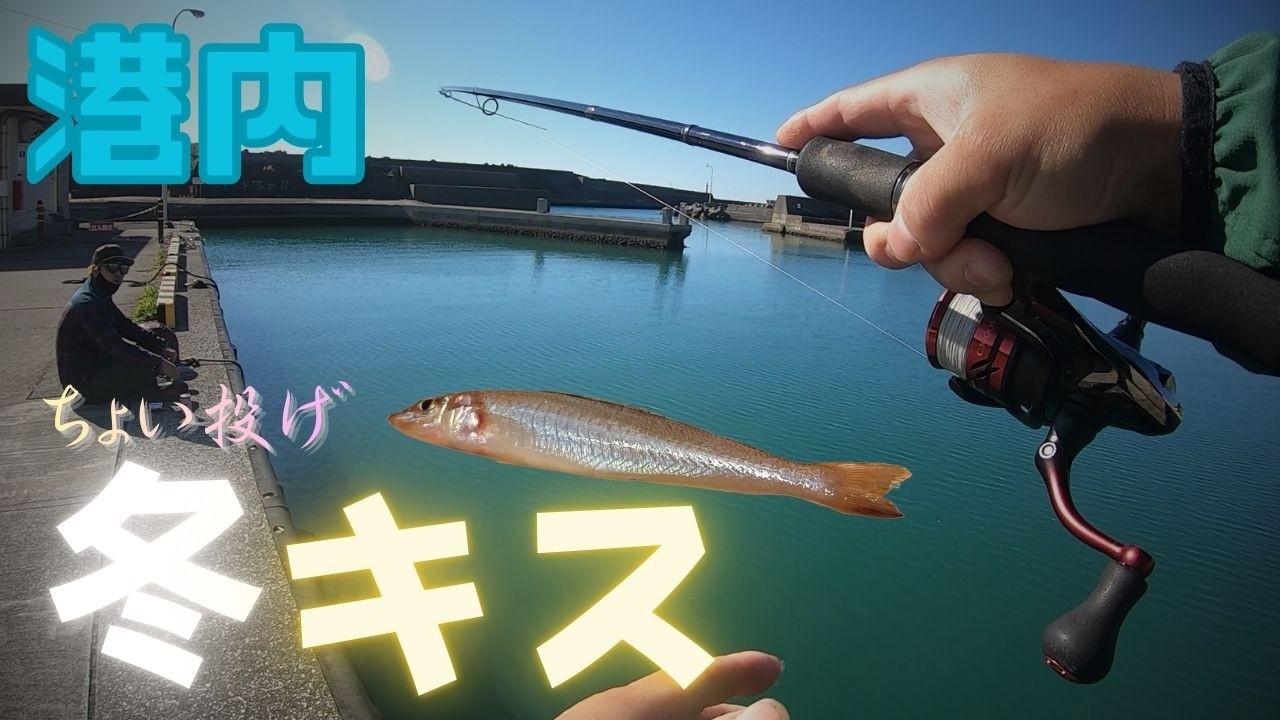 【冬キス】冬のちょい投げが熱い！港内でまったり釣行