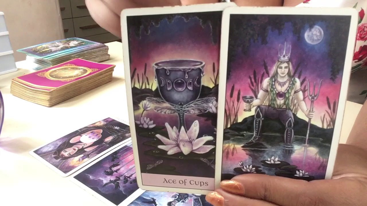 Capricorn 💜Reunion with  Twinflame /life partner (water sign)August