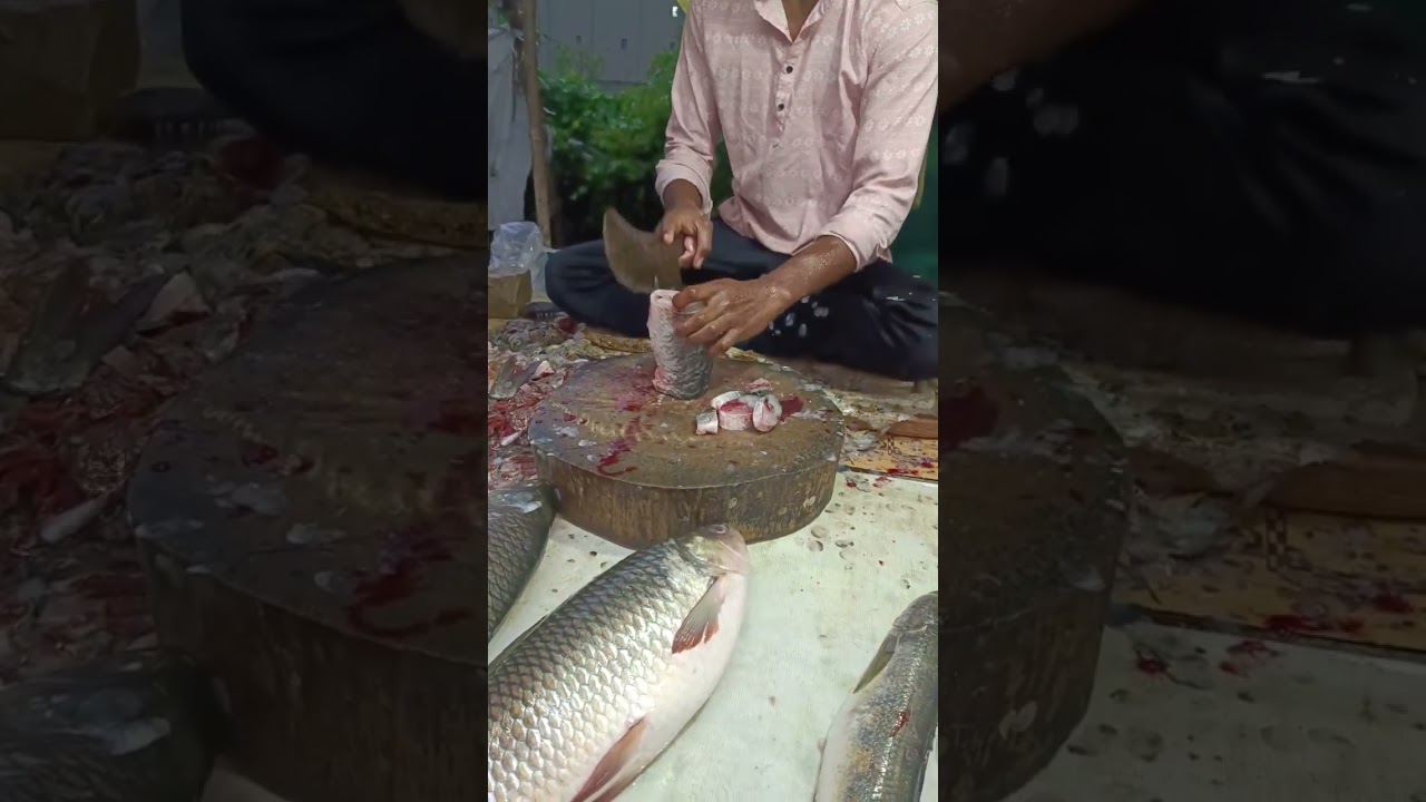 raw fish 🐟 cutting 🔪 video 📸.  