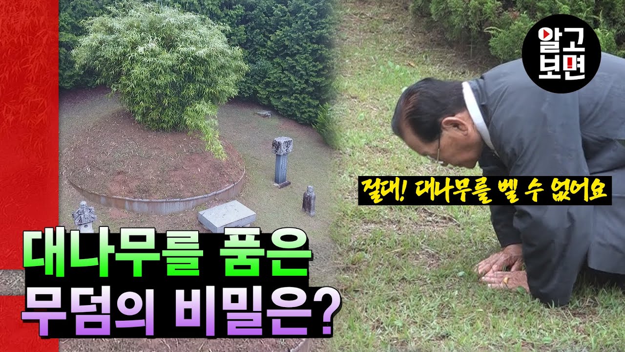 조상의 무덤에 무성하게 박혀있는 대나무와 이를 극진히 관리하는 후손들의 사연은?