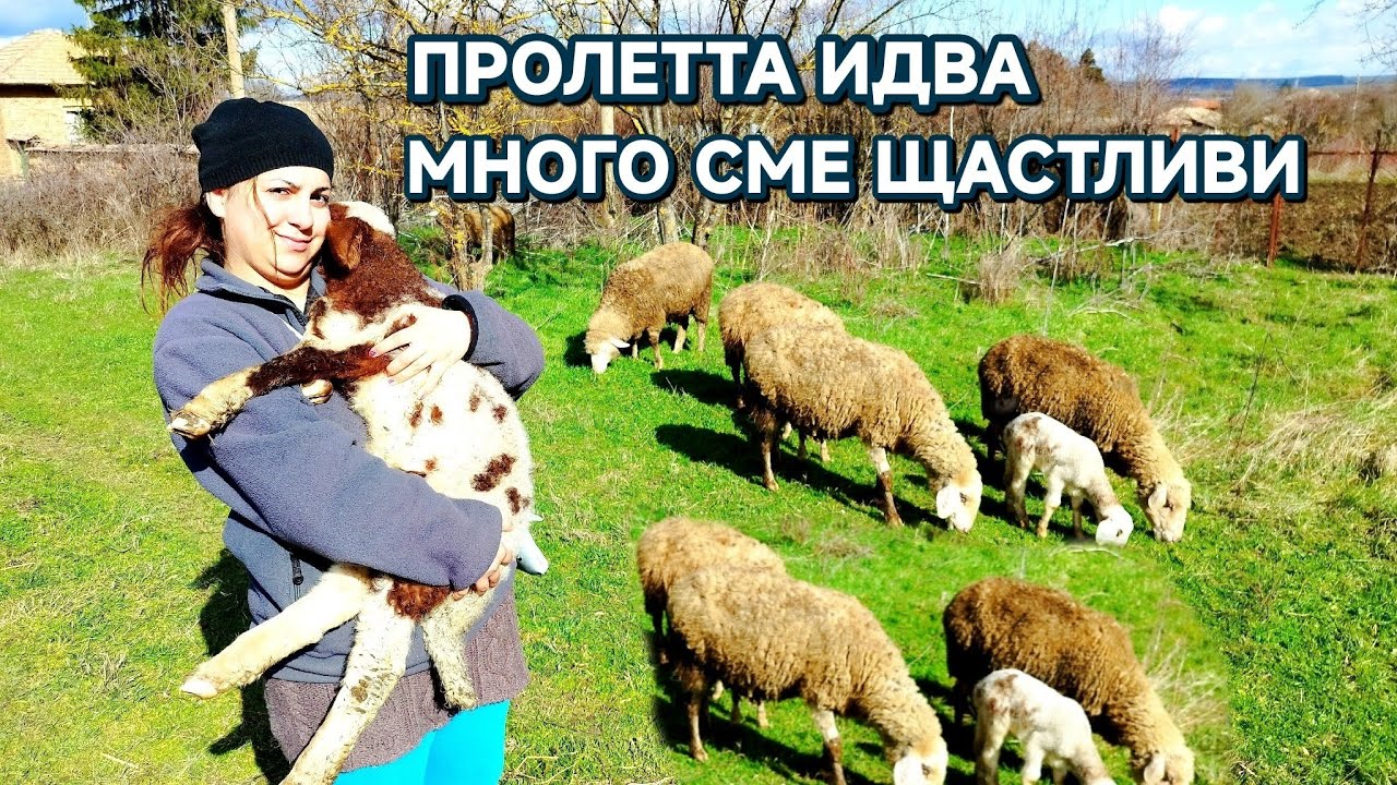 ОБИЧАМЕ СИ ЖИВОТНИТЕ НА ПАША #animals #lifeisbutadream #funny #cute #puppy #villagelife