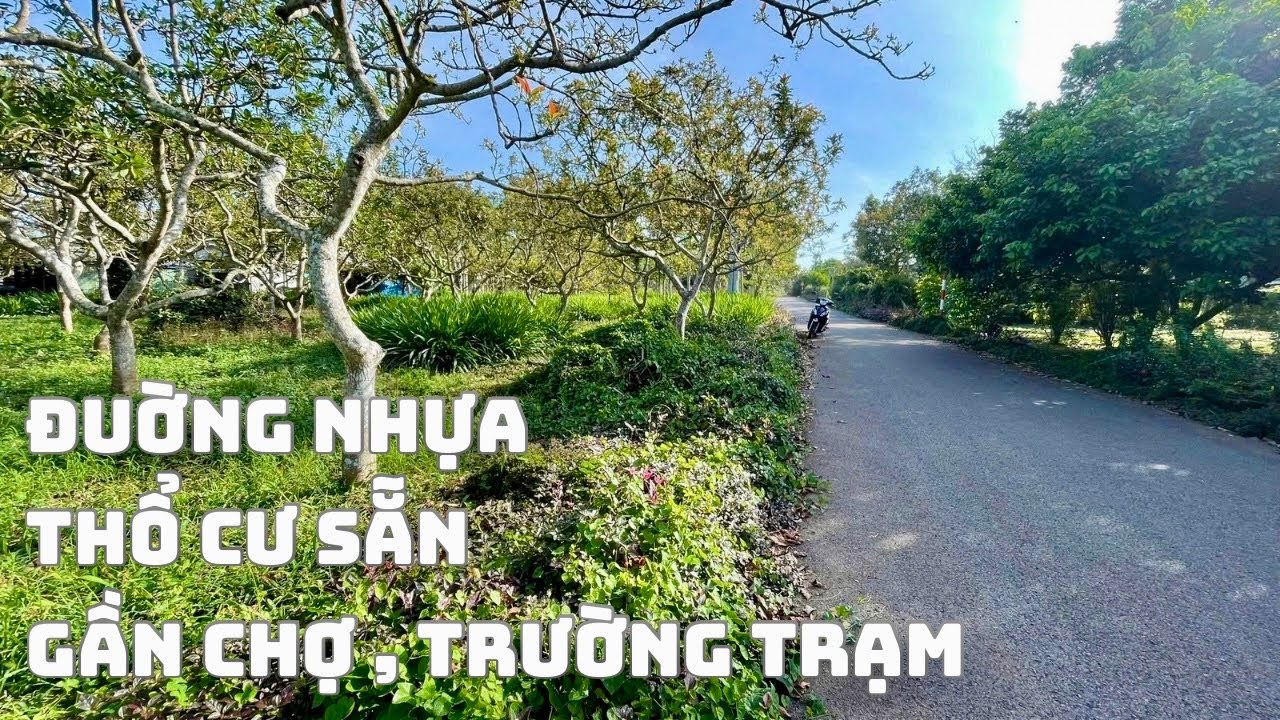 ☘️Vườn Bơ 160m2 Thổ Cư Đường Nhựa Ngay Trung Tâm Vị Trí Đẹp Tại Xã Châu Đức TP HỒ CHÍ MINH