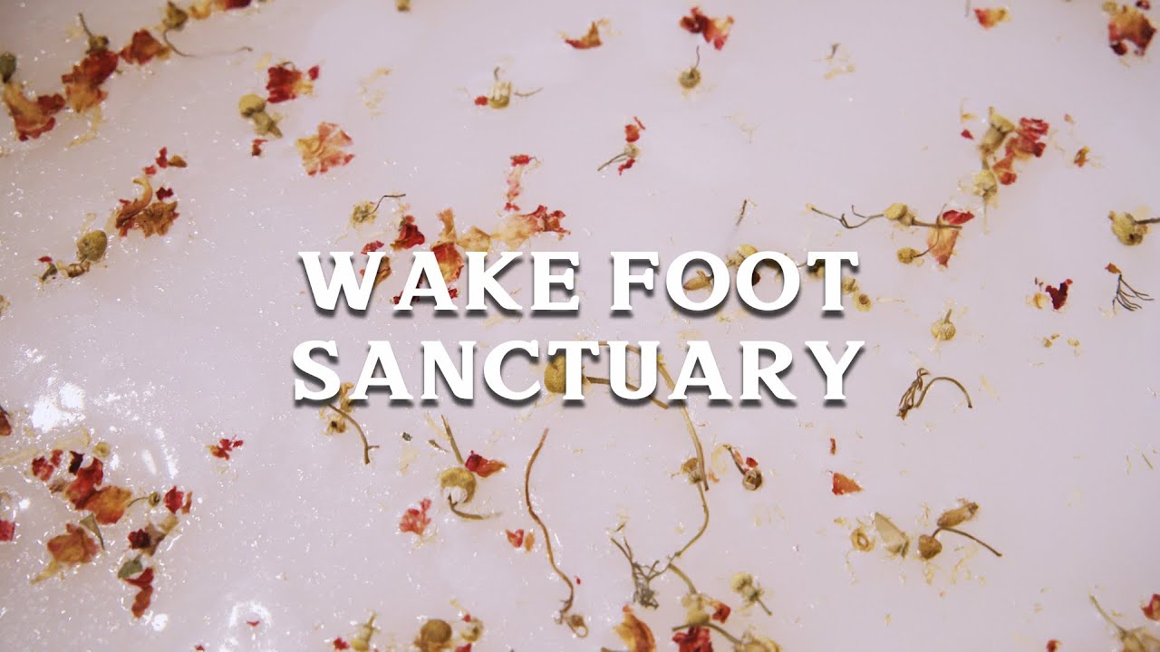 An Interview With Wake Foot Sanctuary | Grove Arcade