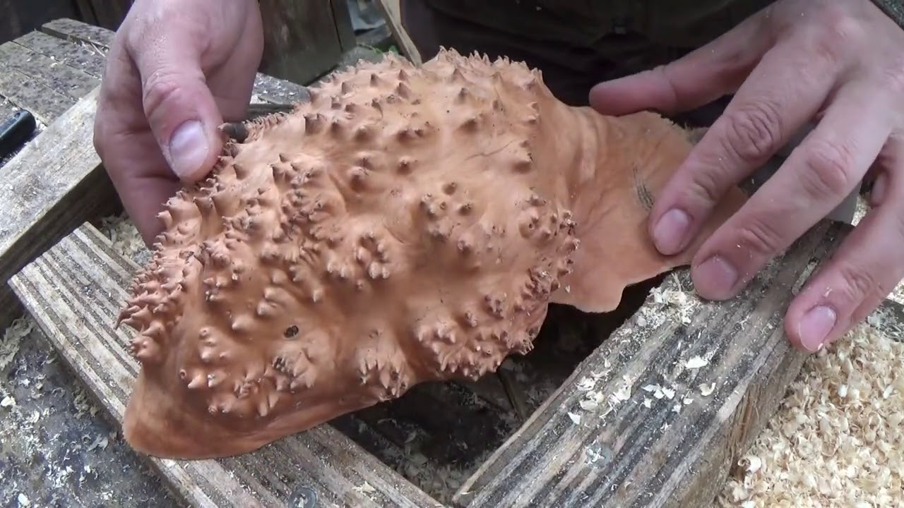 Делаю миску из капа березы.  Процесс. The process of making a wooden bowl of birch burl