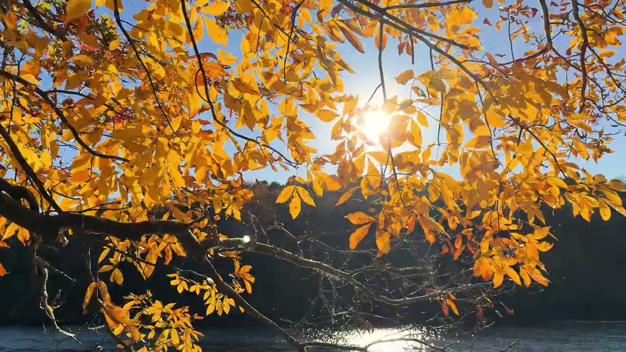 The Most Breathtaking Lakefront Property in Kentucky | 237 Mockingbird Trail