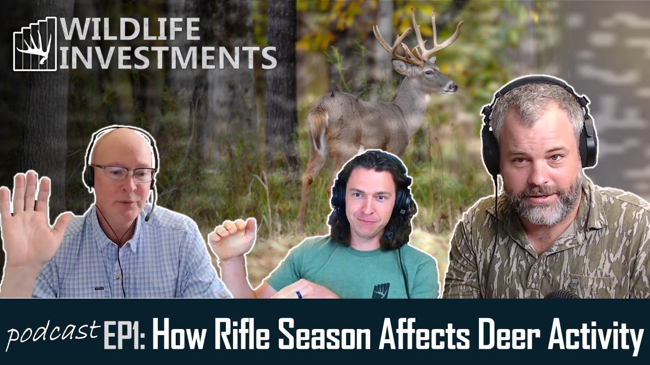 Rifle Season Effects On Daylight Deer Activity - Research Results